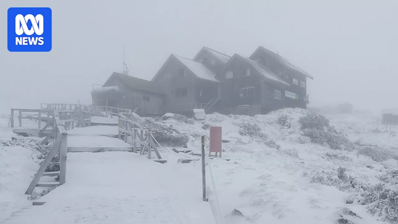 Thousands of homes without power in Tasmania as BOM warns worst weather set for weekend