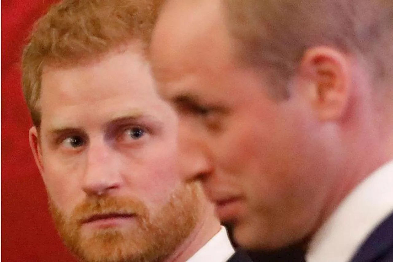 Harry e William si incontrano di nuovo dopo un anno, ma c'è un motivo