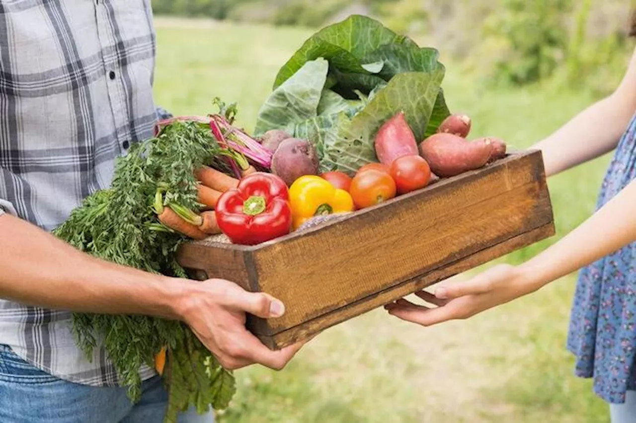 Dallo iodio alla vitamina E,una persona su 2 nel mondo è carente