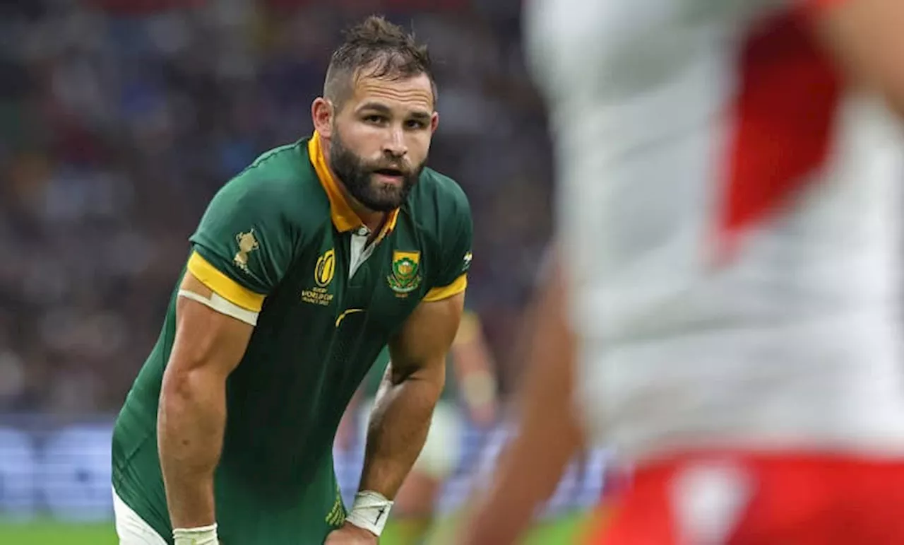 Cobus Reinach: We can’t go soft on All Blacks