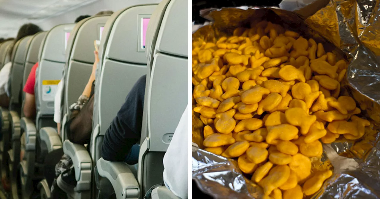 Mom Demands Passengers Goldfish Because Her Kid Is Hungry, Throws A Fit When They Say No