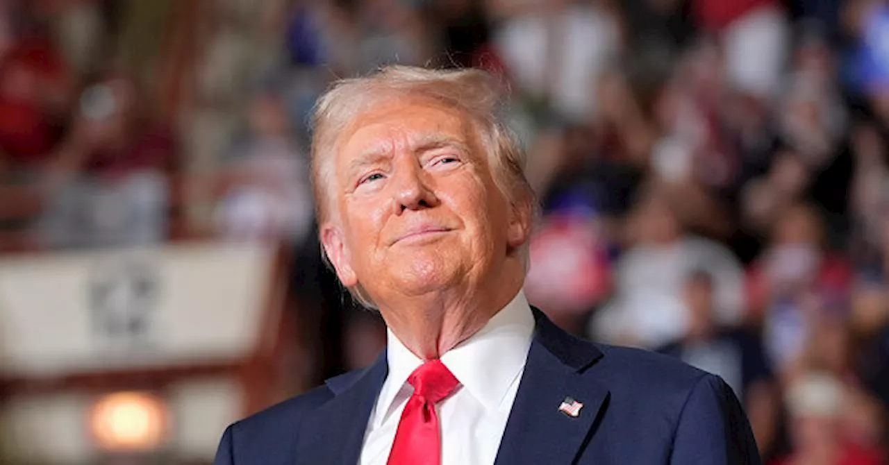 Poll: Donald Trump Leads Harris in 7 Battleground States Where Race Was Closest in 2020