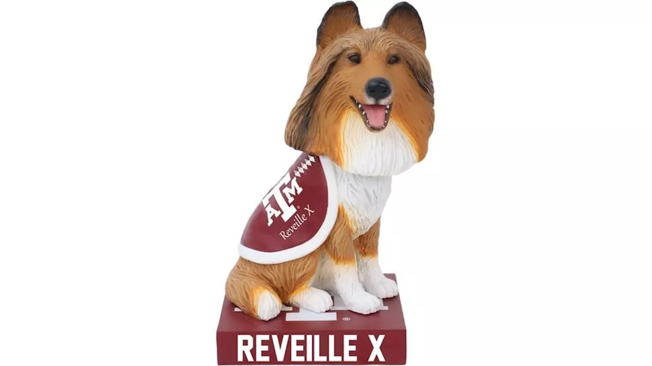 Texas A&M celebrates new school year with first Reveille X bobblehead