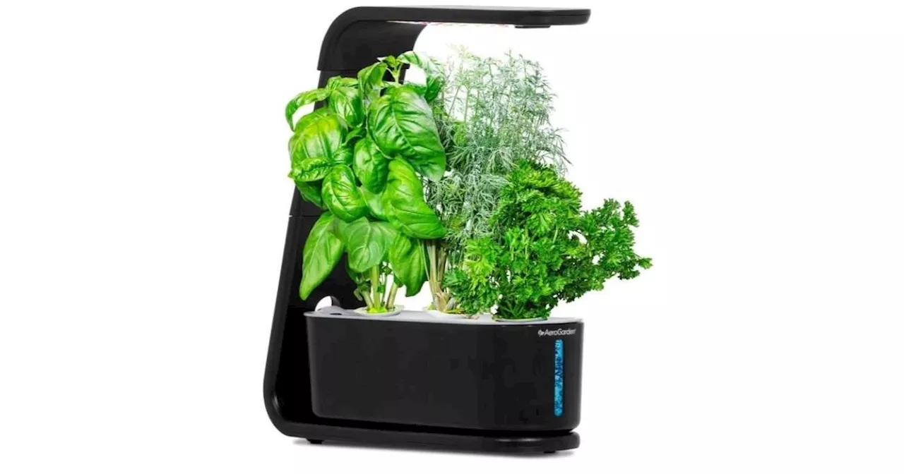 Don't have a green thumb? The Aerogarden makes gardening easy for only $53