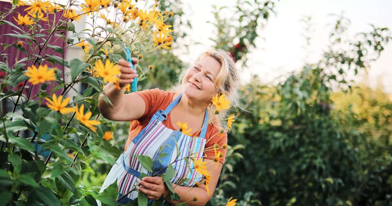 Hormone therapy for women in menopause can slow aging and benefit health, study shows