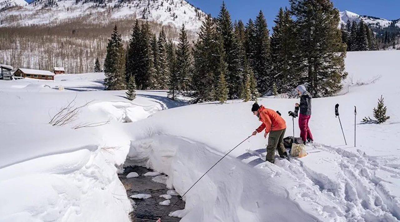 When a Summer Drought Begins in the Winter: Investigating Snow Drought