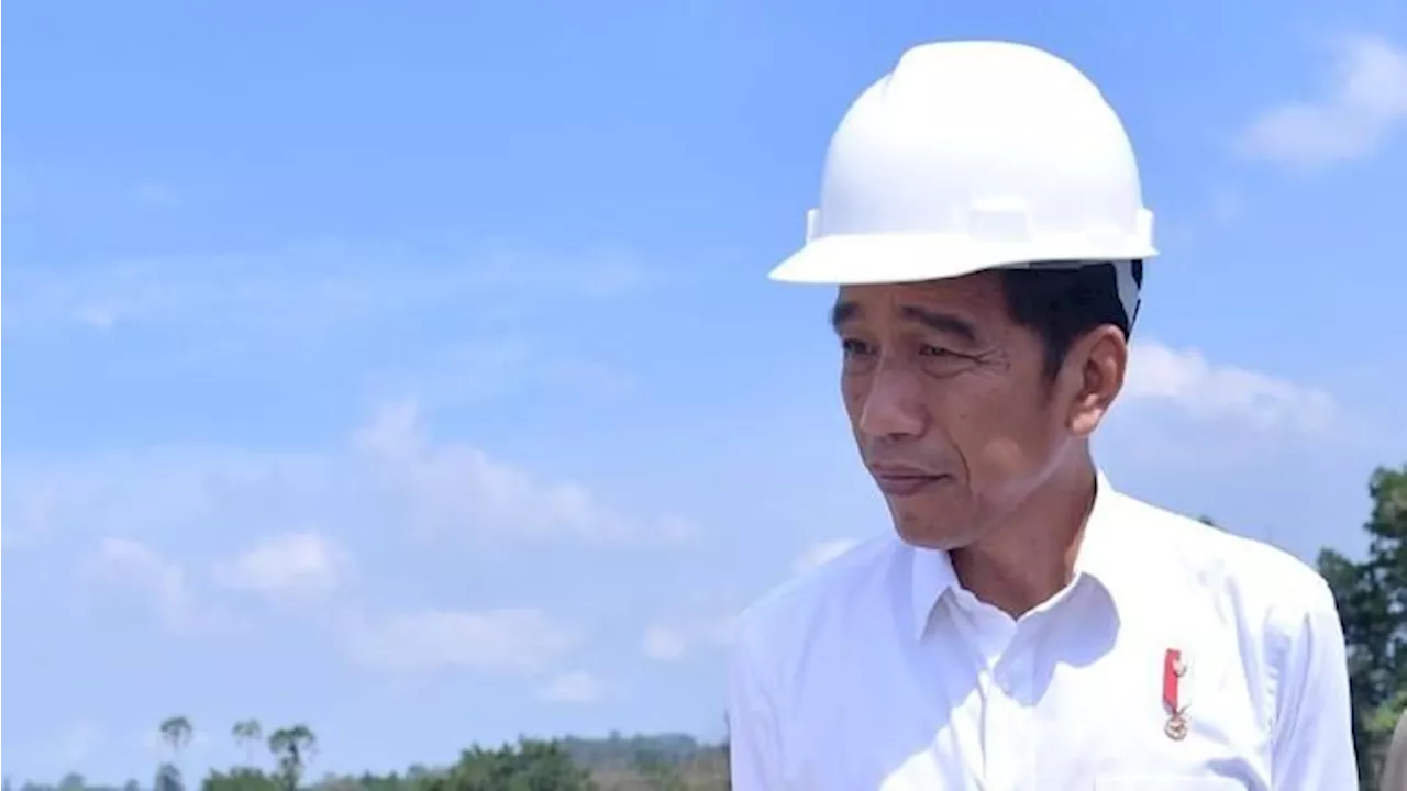 Jokowi & Soeharto, 2 Presiden RI yang Dapat Penghargaan Tertinggi FAO