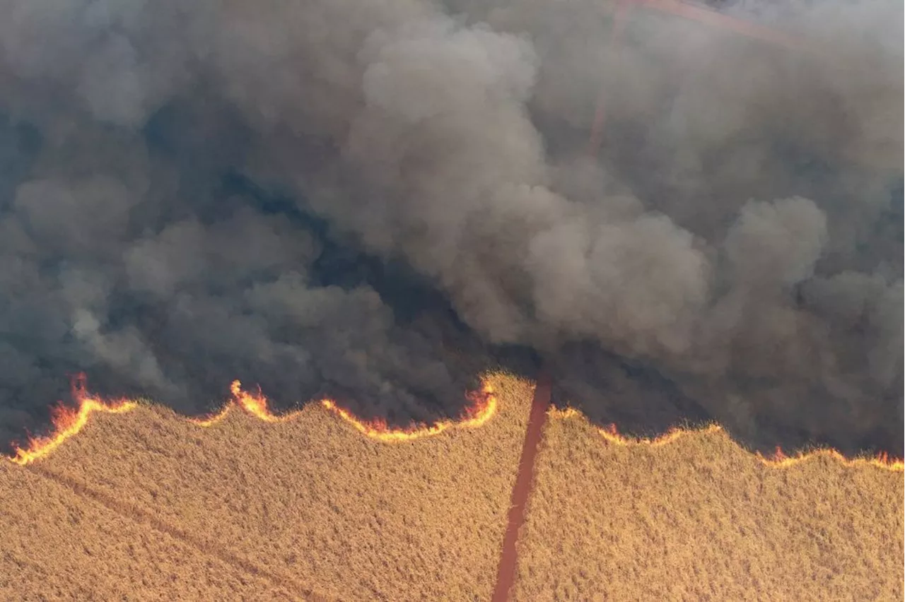 São Paulo tem alerta para risco de incêndio nesta sexta-feira (30)