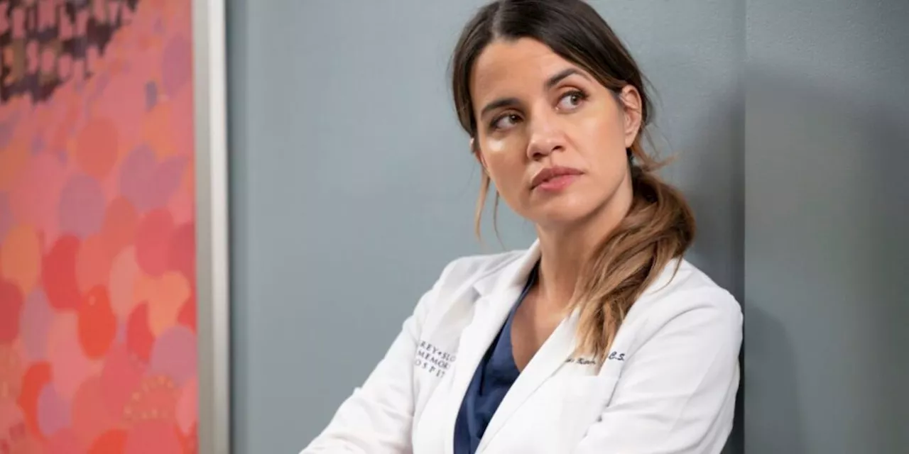 This 'Grey's Anatomy' Guest Star Will Return as a Recurring Star in Season 21