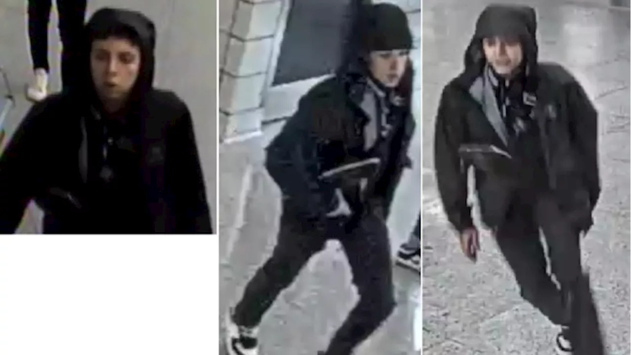 2 suspects sought in robbery at TTC subway station