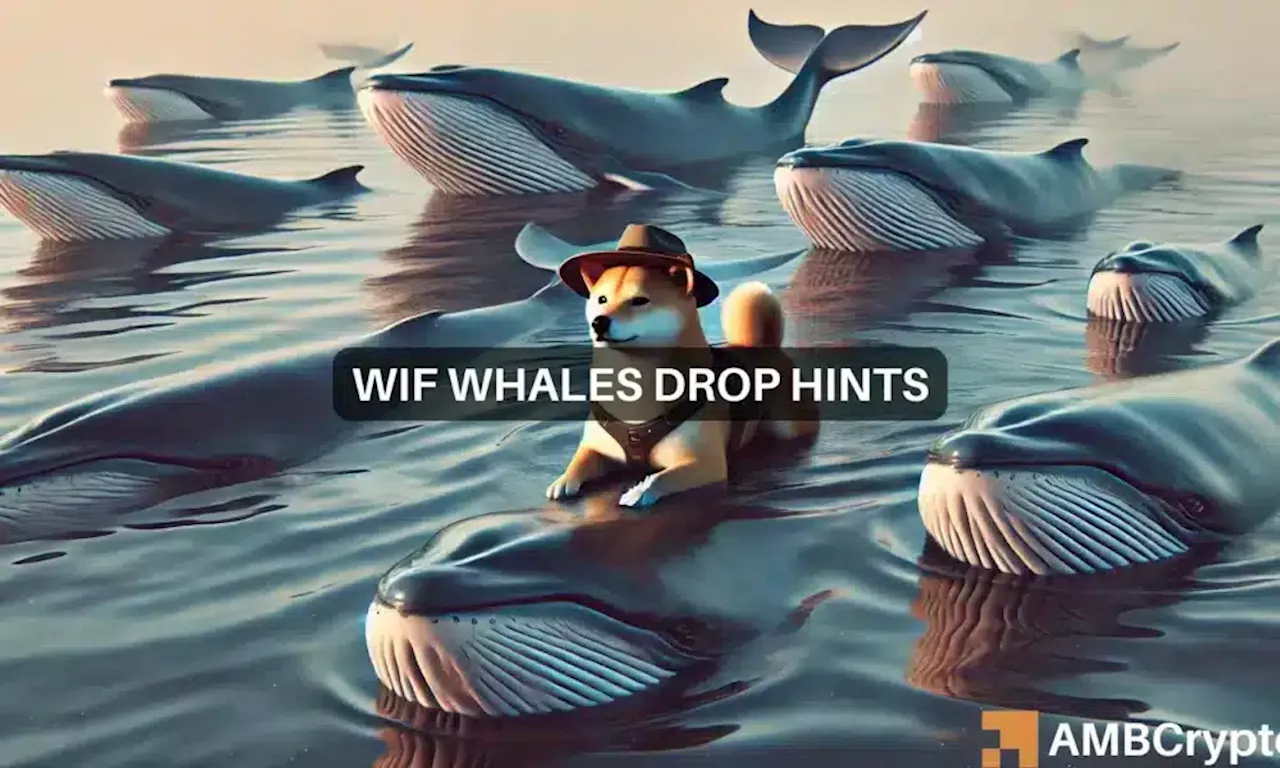 dogwifhat: Is now the time to buy? WIF whales drop major hints