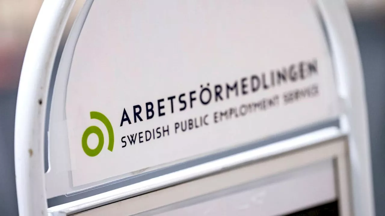 Efter raset: Integrum söker finanschef på Arbetsförmedlingen