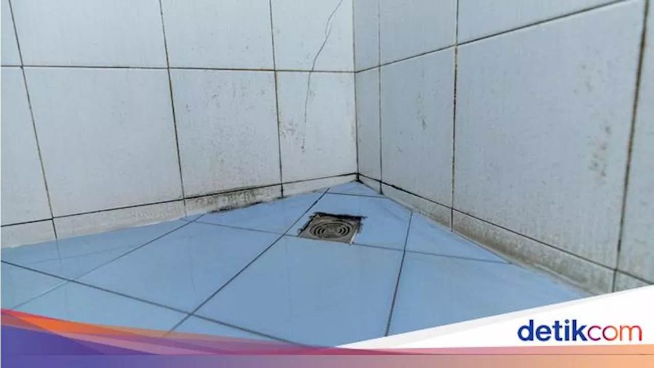 Begini Cara Bersihkan Kamar Mandi buat Cegah Saluran Air Mampet