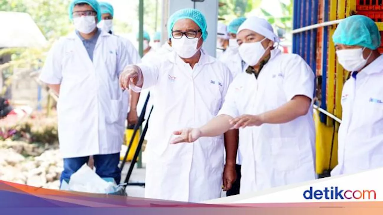 Bansos Telur dan Ayam Dimulai Lagi buat 1,4 Juta Penerima