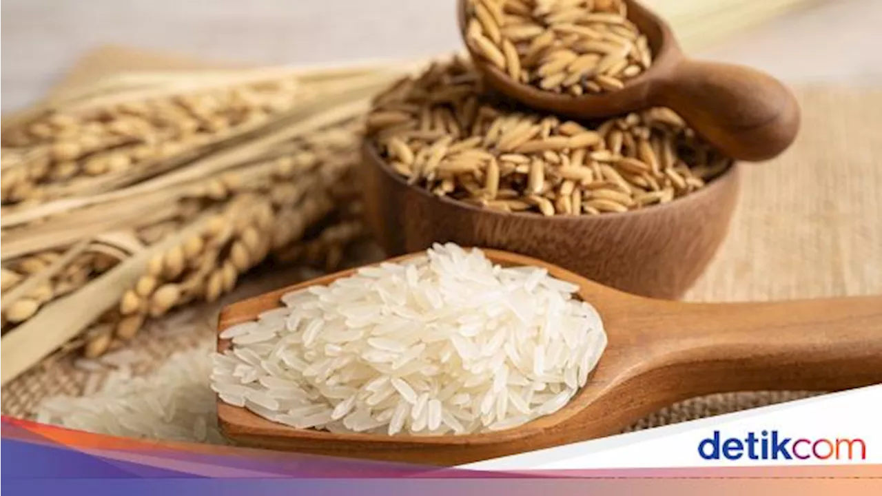 RI Impor Beras 2,7 Juta Ton, 900 Ribu Ton Bakal Masuk Lagi