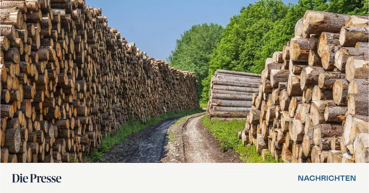 Holzindustrie beklagt schwache Baukonjunktur