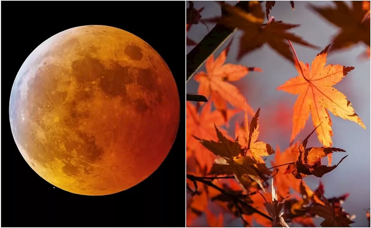 Eclipse Lunar, Equinoccio de Otoño y otros eventos astronómicos de septiembre 2024