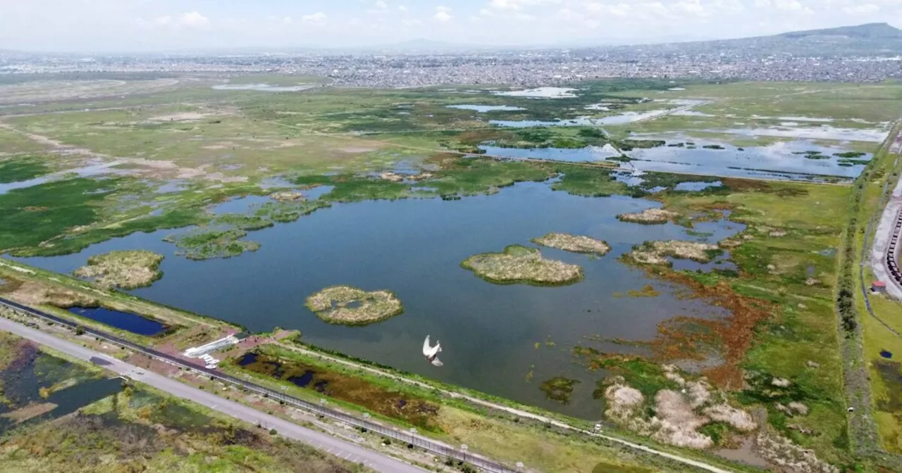 AMLO y Sheinbaum inauguran el Parque Ecológico Lago de Texcoco