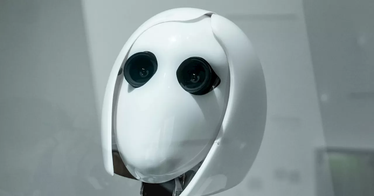 ¿Tu próximo jefe será un robot? Sudáfrica adopta la IA para el trabajo, la escuela y hasta el romance