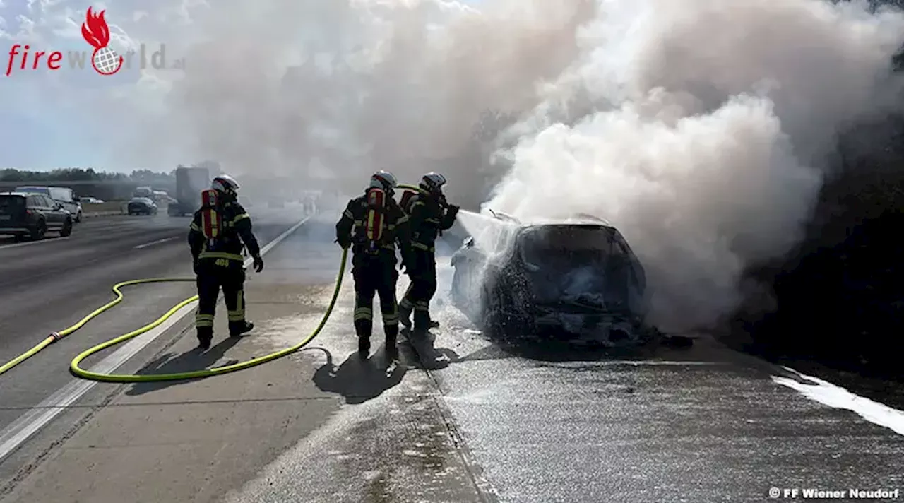 Nö: Pkw in Vollbrand – Feuerwehr rettet Reptil