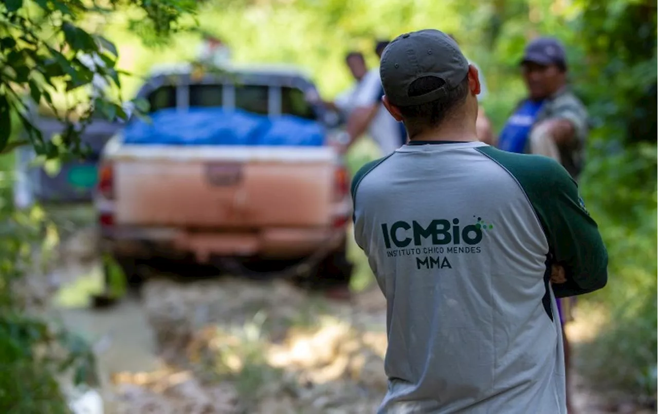 Ministério autoriza concursos com 810 vagas para Ibama e ICMBio; veja cargos