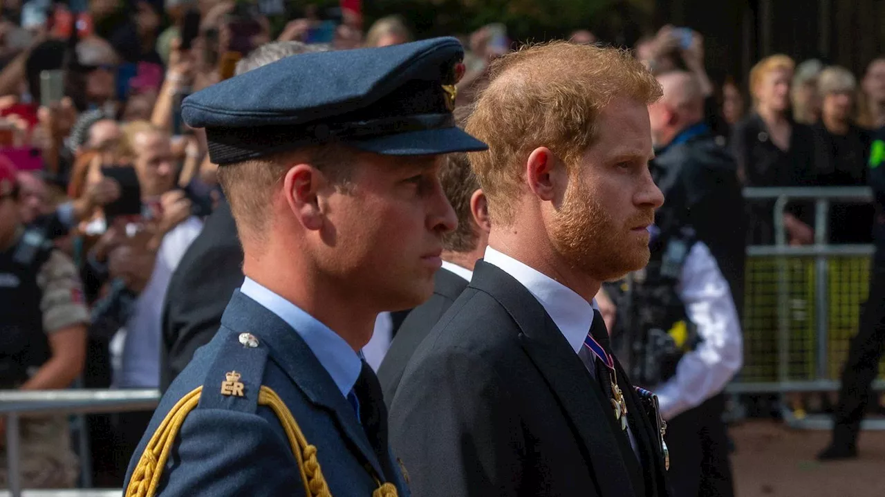 Prinz Harry + Prinz William: Gemeinsam bei Beerdigung, doch sie ignorieren sich