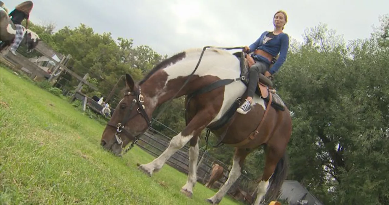 Manitoba jockey paralyzed in accident back in the saddle