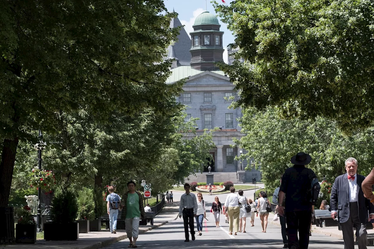 International student enrolment has fallen below federal cap, Universities Canada says