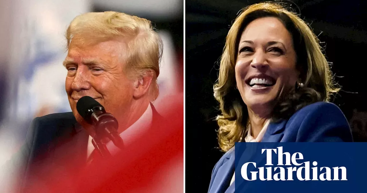 2024 US presidential polls Harris taps into nearrecord levels of