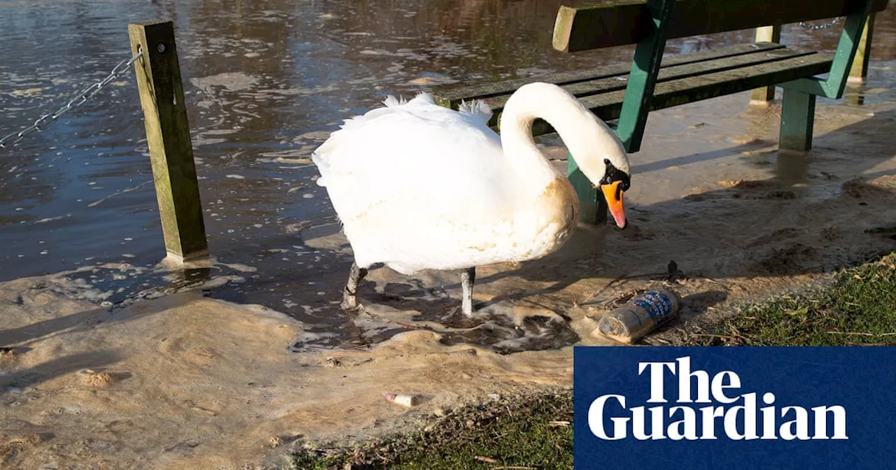 Aquatic life under threat as pollution and warmer waters wreak havoc