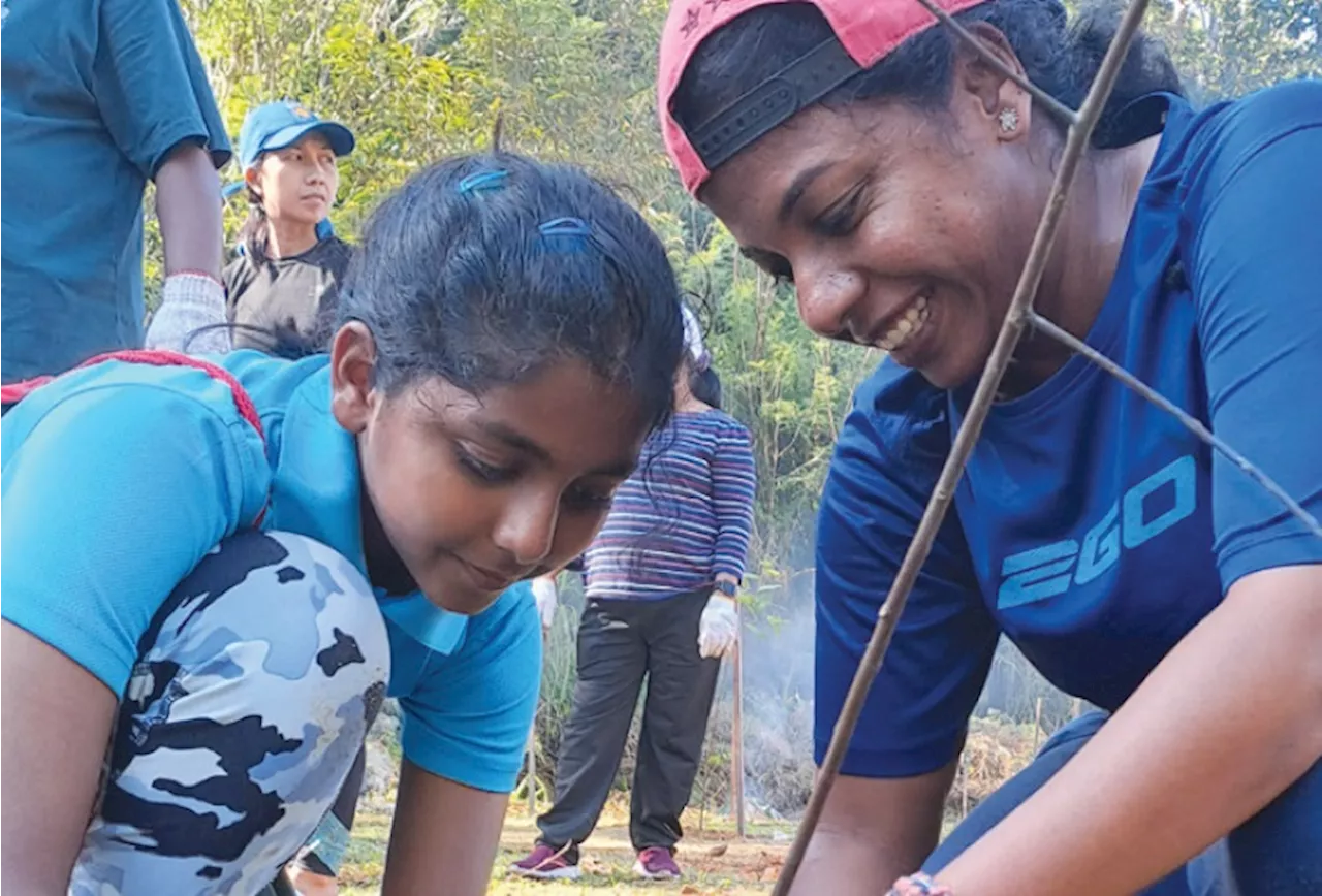 Planting trees in memory of the elderly