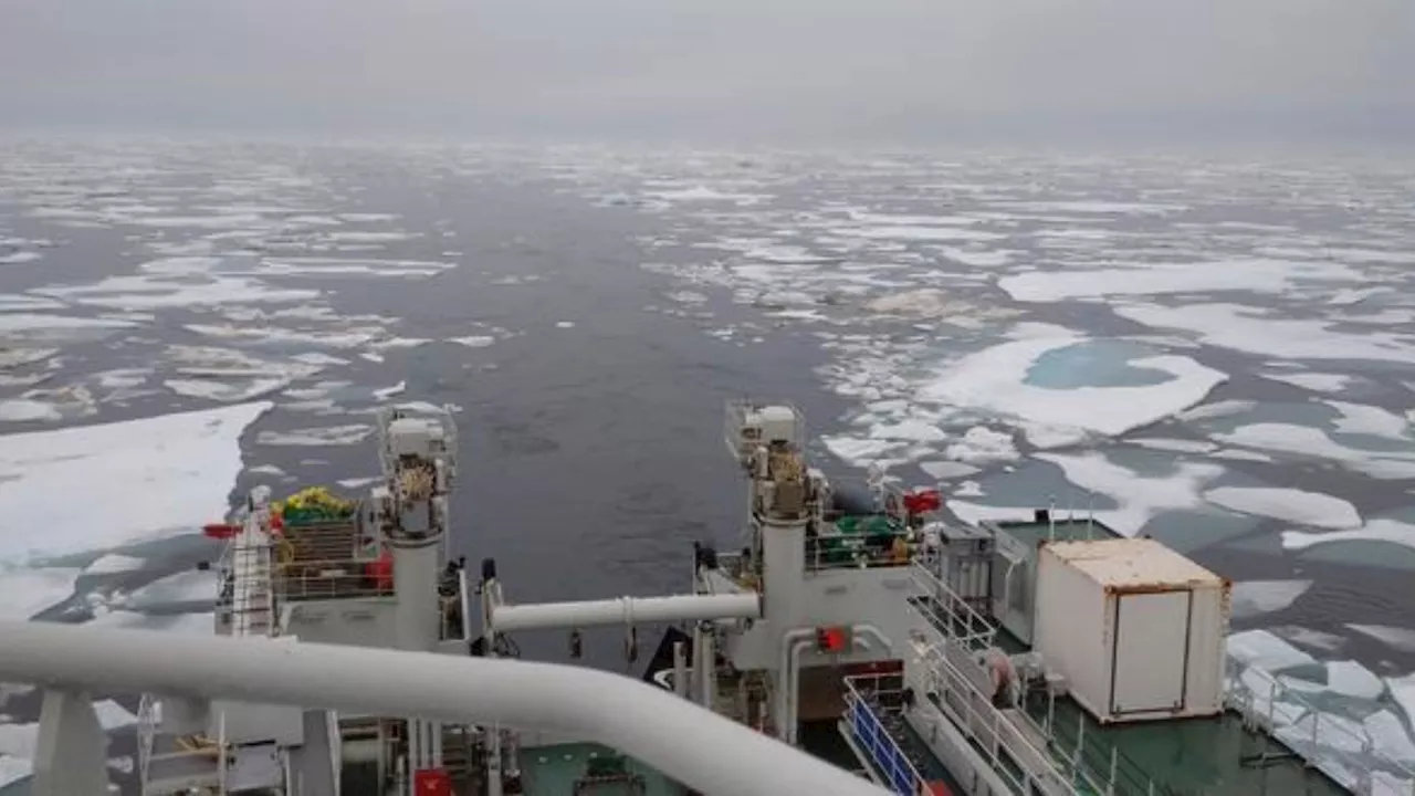 Powerful antibiotics found in deep Arctic waters to tackle resistant bacteria