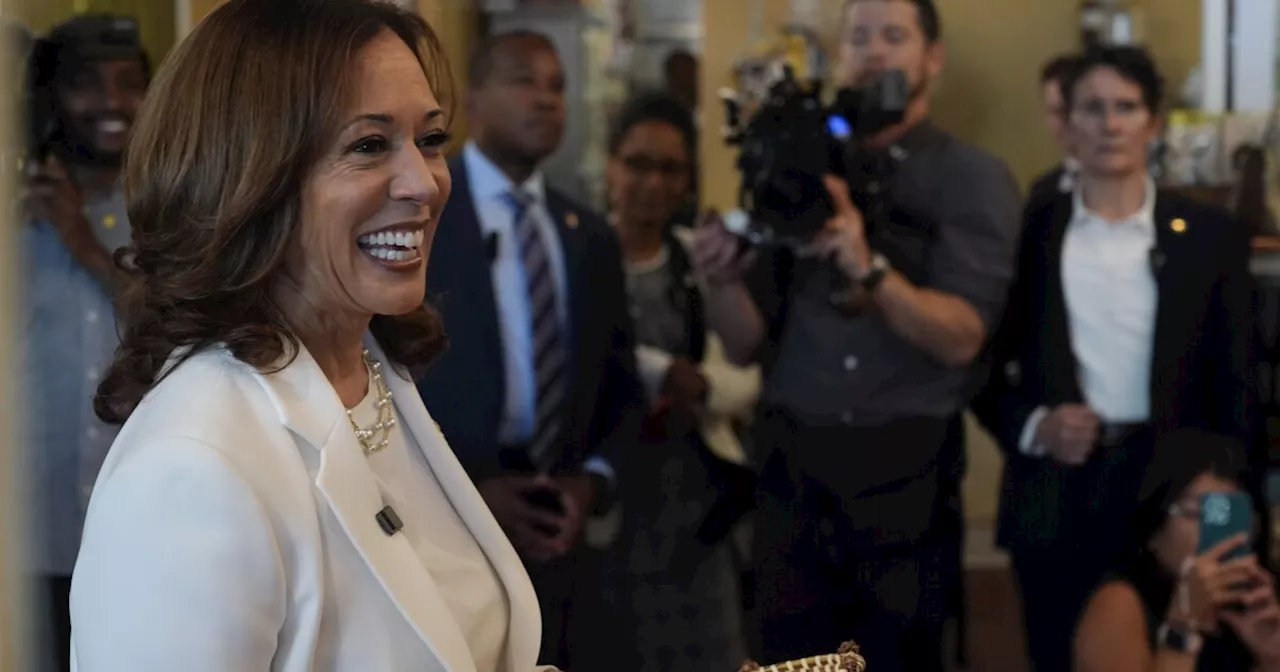 Harris dismisses questions over her race in first interview as presidential nominee