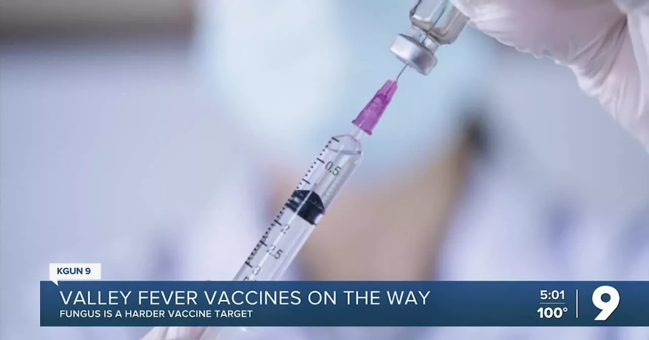 UA closing in on Valley Fever vaccines