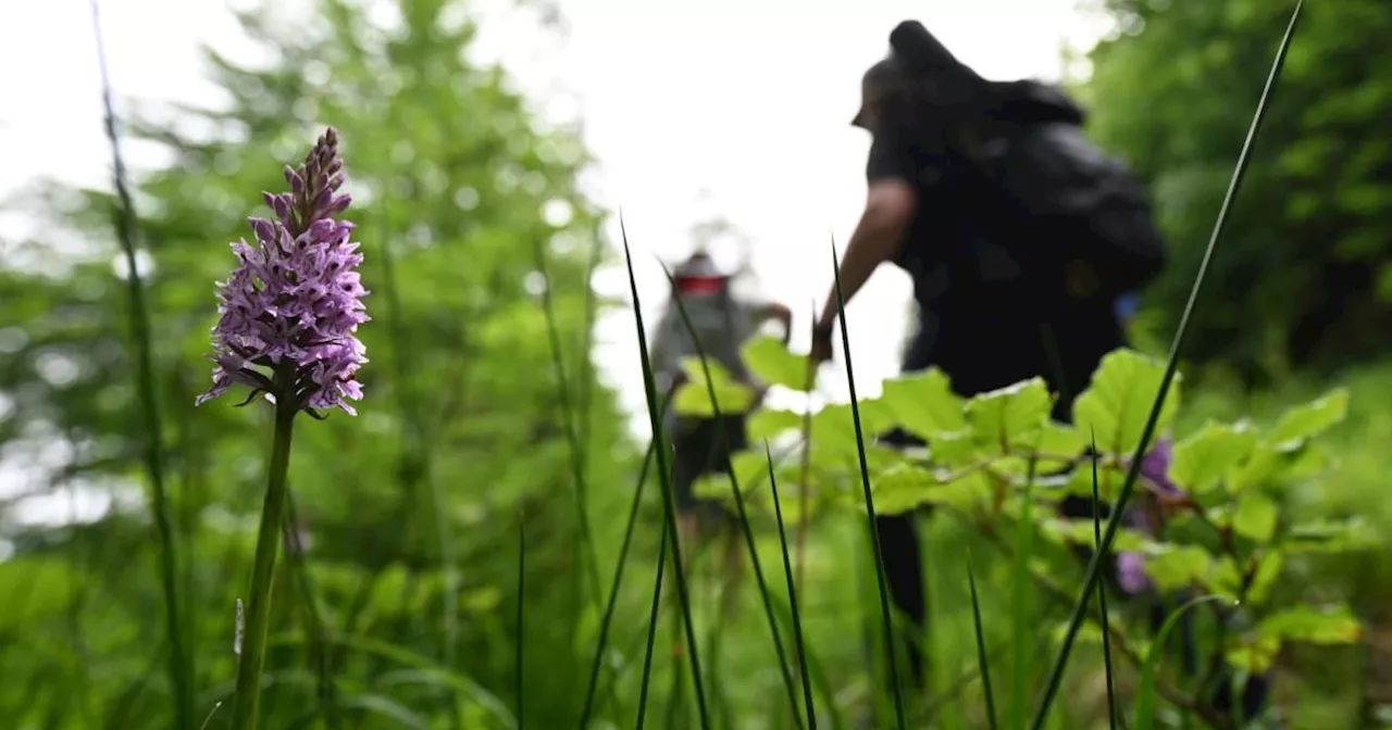 WWF mit 50 Forderungen an Politik