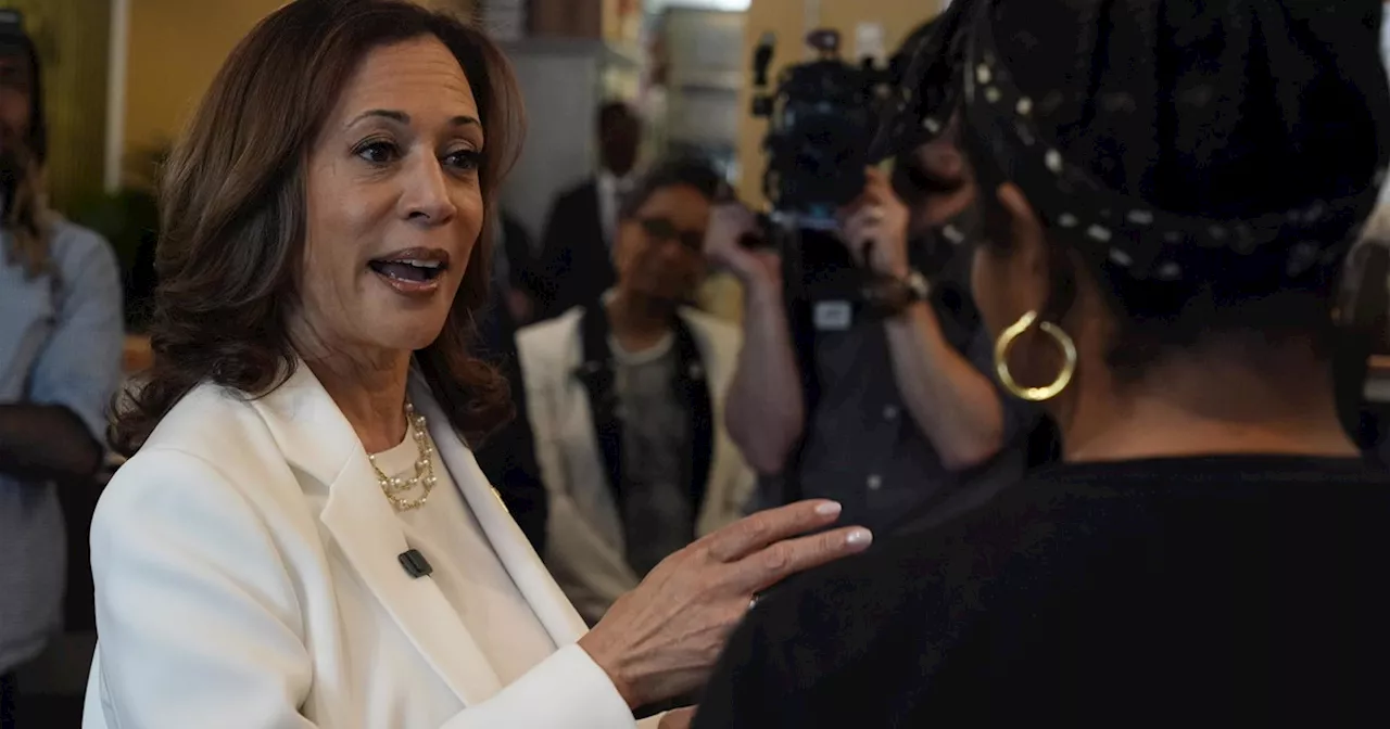 Kamala Harris, sondaggi farlocchi per gonfiare la sua corsa alla Casa Bianca