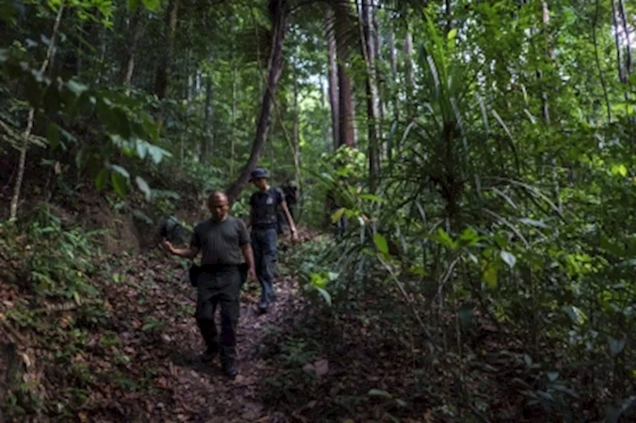 ‘Drugs, firearms and even undocumented migrants’: Porous Malaysian-Thai border allows smugglers to thrive, villagers say