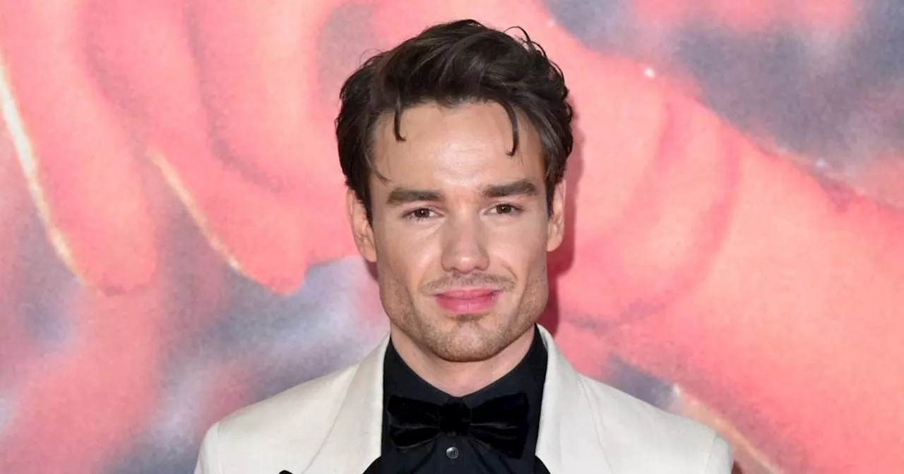 Liam Payne gives rare update on son Bear, 7, and reveals what he looks like