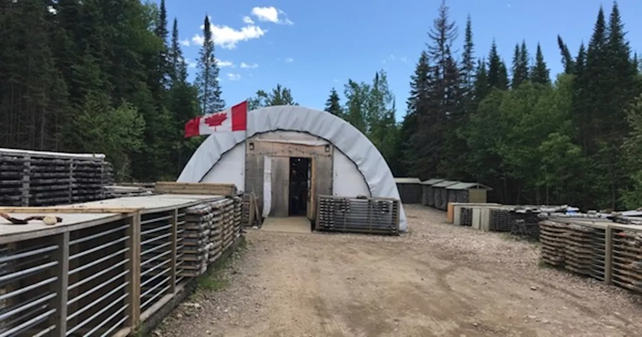 Red Pine significantly boosts Wawa gold resources