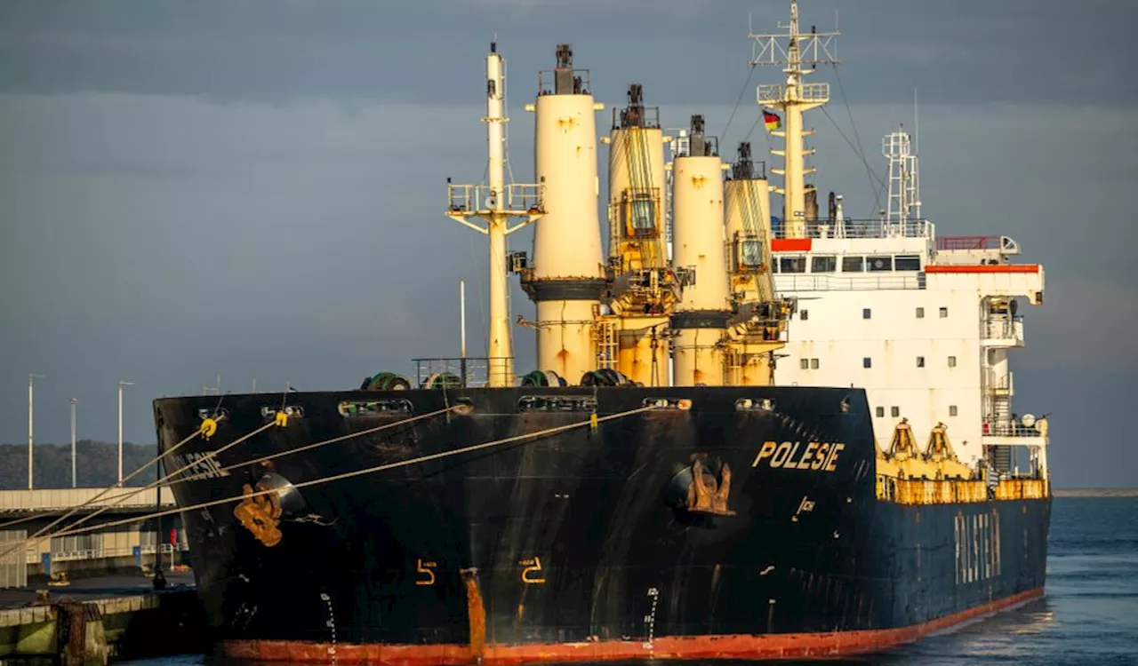 Gesunkenes Schiff vor Helgoland: Jetzt beginnt die Suche nach vermissten Seeleuten