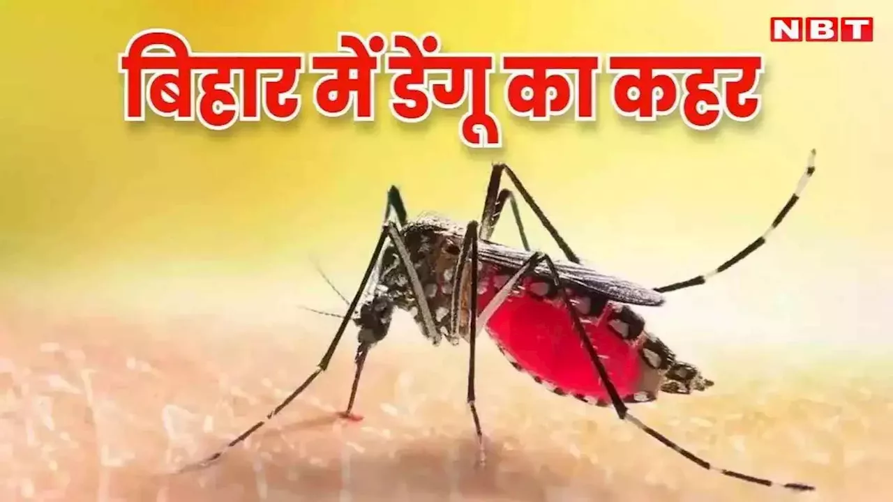 बिहार में अब डेंगू डराने लगा है! पटना में एक की मौत, 18 नए मरीज मिलने से मचा हड़कंप