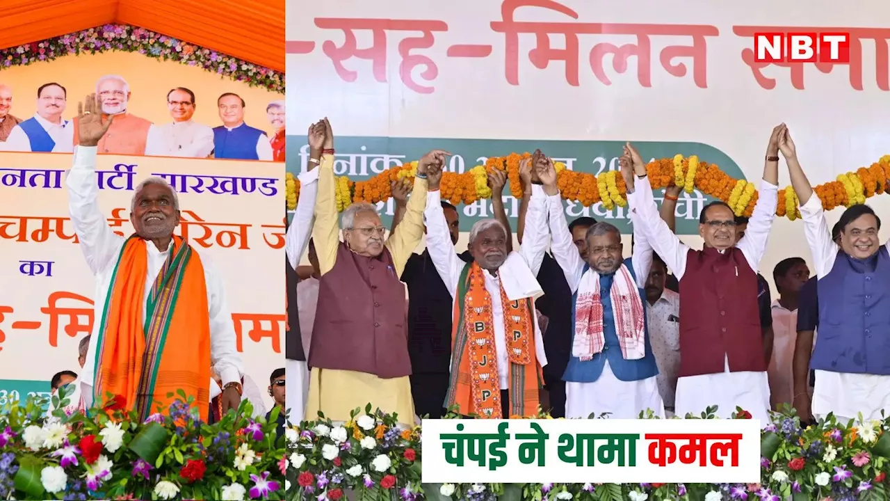 Jharkhand Politics: चंपई का 'कमल' प्रेम, बेटे बाबूलाल के लिए सियासी 'खेती' की तैयारी