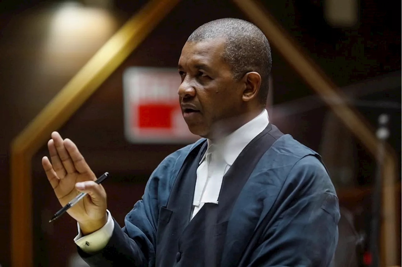 SABC 'poisoning' minds of millions by using term GNU, Dali Mpofu tells court