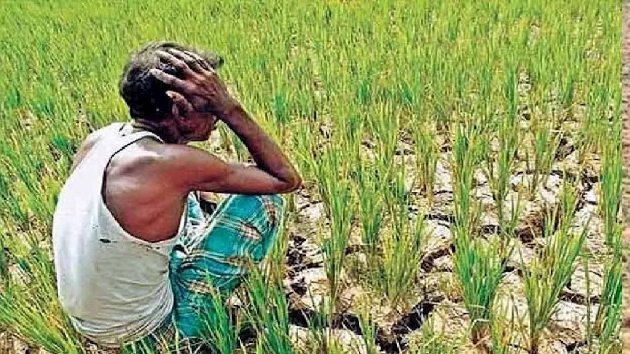 Bihar Weather Report: अगले तीन दिनों तक नहीं होगी प्रदेश में बारिश, किसानों की बढ़ी चिंता