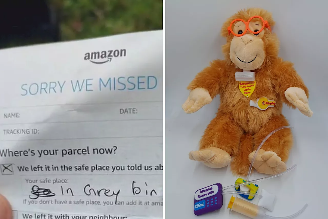 Amazon Package Delivery Backfires With Incredible Consequence—'Thank You'