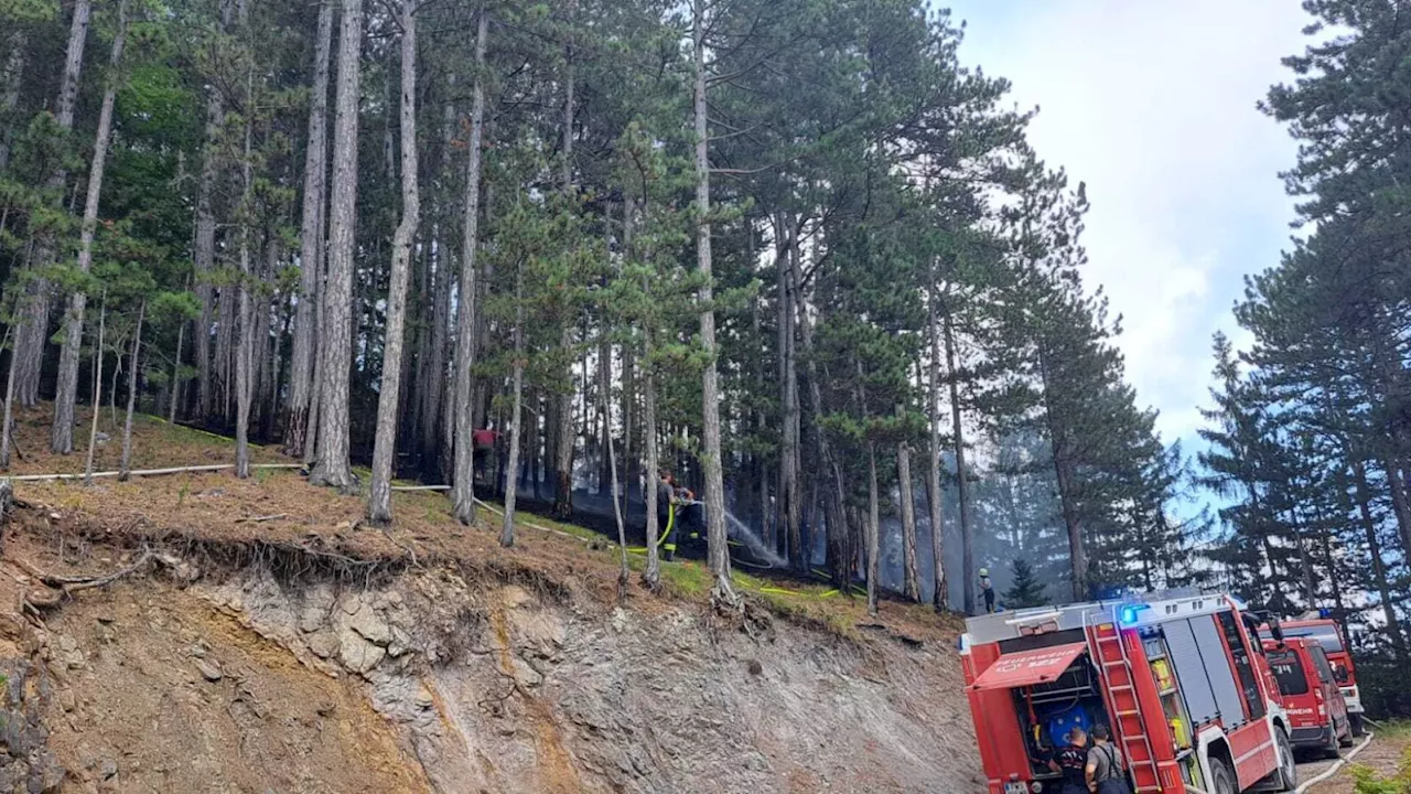 Nach Blitzschlag: Waldbrand im Piestingtal