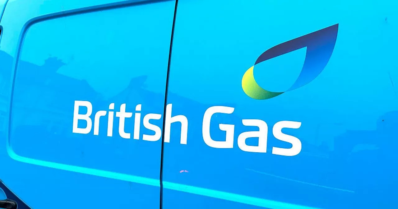 British Gas, Octopus and E.on customers could get free boiler upgrade