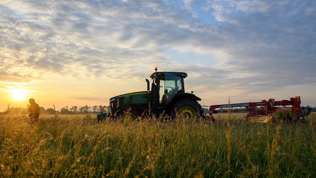 Sachsen-Anhalt: Mehr Öko-Landwirtschaft - weniger Schweine und Rinder