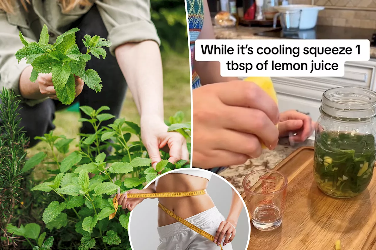 Does the viral TikTok lemon balm elixir actually work for weight loss?