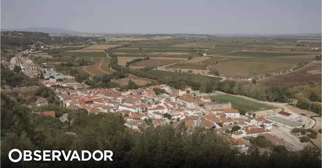 Presidente da Câmara de Santarém suspende mandato para liderar Instituto do Desporto